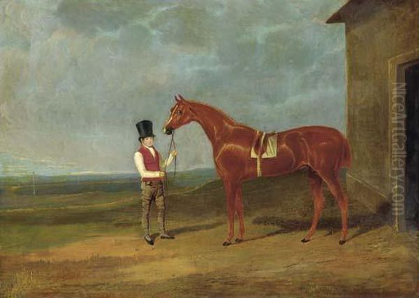 Mr. Dixon's Mountaineer, A Chestnut Colt, Held By A Groom Outside Astable Oil Painting by John Frederick Herring Snr