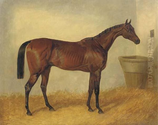 Merry Monarch, A Bay Mare, In A Stable Oil Painting by John Frederick Herring Snr