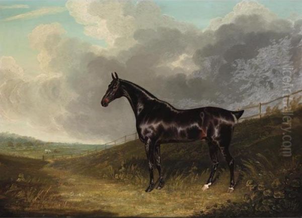 Bay Racehorse Oil Painting by John Frederick Herring Snr