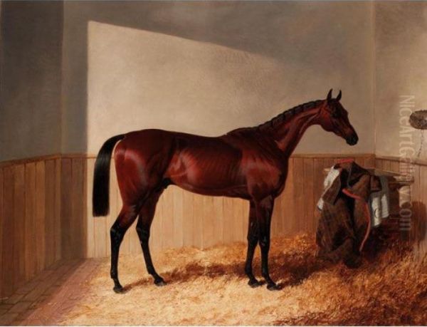 Mr Grantwicke's Bay Racehorse The Merry Monarch By Slane Out Of Margravine In A Loosebox Oil Painting by John Frederick Herring Snr