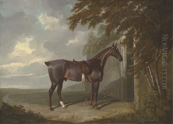 Mr. H.m. Greaves's Liver Chestnut Hunter, Tethered To A Gate Atpage Hall, Yorkshire Oil Painting by John Frederick Herring Snr