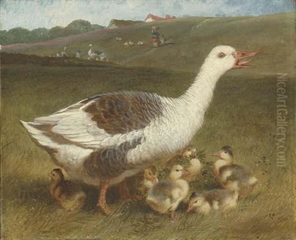 A Goose And Goslings In A Landscape, Figures Beyond Oil Painting by John Frederick Herring Snr