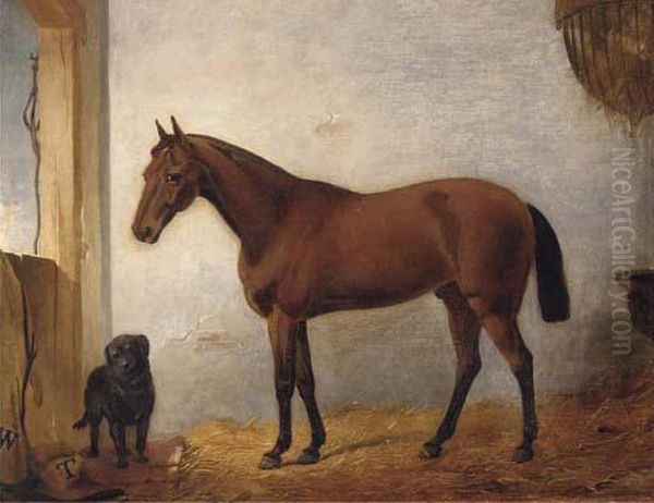 A Chestnut Hunter With A Black Labrador In A Stable Oil Painting by John Frederick Herring Snr