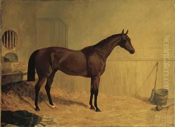 Cotherstone, A Bay Racehorse In A Stable Oil Painting by John Frederick Herring Snr