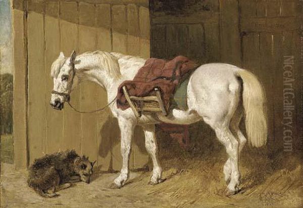 A Grey Pony With A Dog By A Stable Door Oil Painting by John Frederick Herring Snr