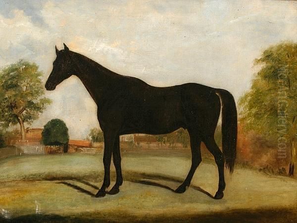 A Black Horse In A Paddock Oil Painting by John Frederick Herring Snr