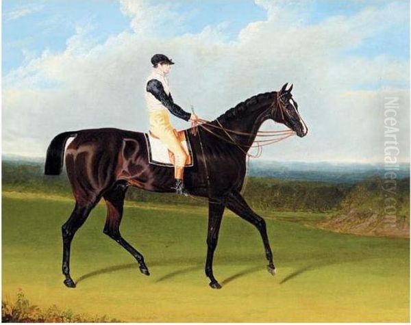 Filho Da Puta Oil Painting by John Frederick Herring Snr