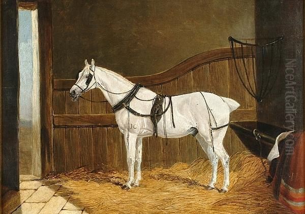 A White Cob In A Stable Oil Painting by John Frederick Herring Snr