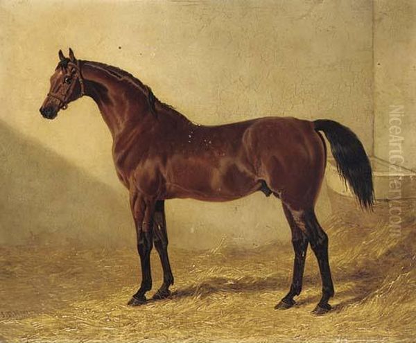 Glaucus, A Bay Racehorse In A Stable Oil Painting by John Frederick Herring Snr