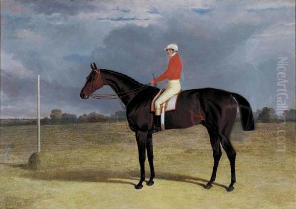 A Dark Bay Racehorse With Patrick Connolly Up Oil Painting by John Frederick Herring Snr