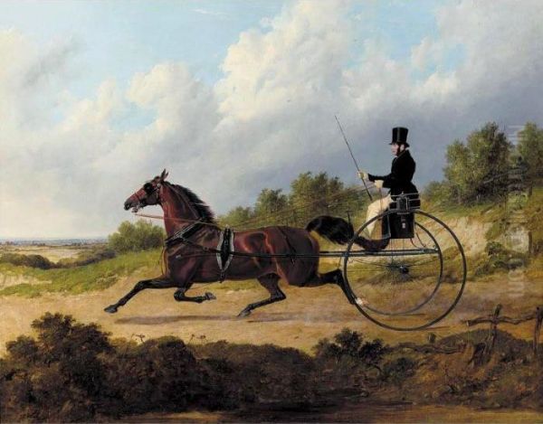 The Famous Trotter Confidence Drawing A Gig Oil Painting by John Frederick Herring Snr