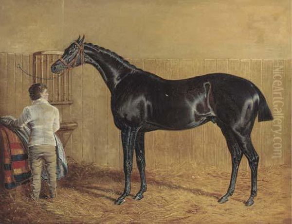 A Racehorse In A Stable With A Groom Oil Painting by John Frederick Herring Snr