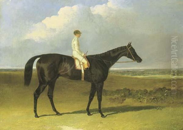 Mr O'brien's Jonathan Wild, With Jockey Up Oil Painting by John Frederick Herring Snr