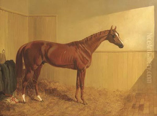 Mr. J. Dawson's Grimston, A Chesnut Racehorse In A Stable Oil Painting by John Frederick Herring Snr