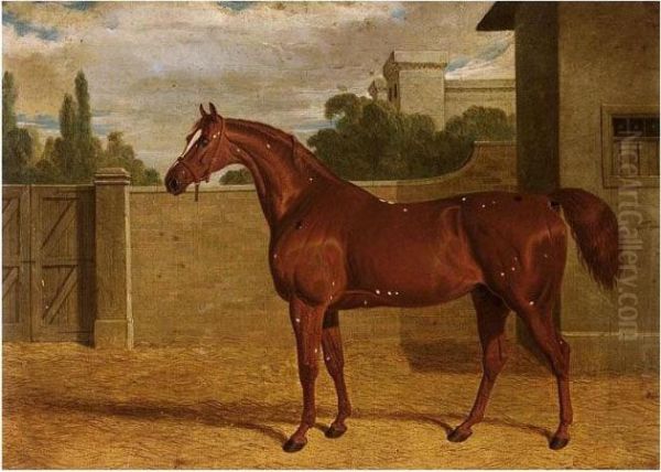 Comus, A Chestnut Racehorse In A Stable Yard Oil Painting by John Frederick Herring Snr