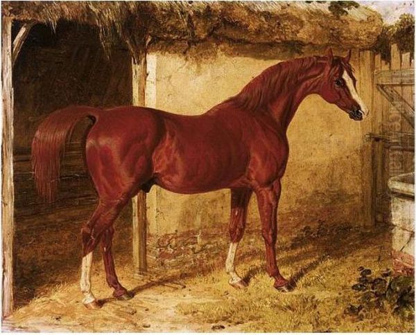 Langar, A Chestnut Racehorse Outside A Stable Oil Painting by John Frederick Herring Snr