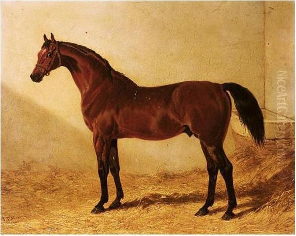 Glaucus, A Bay Racehorse In A Stable Oil Painting by John Frederick Herring Snr