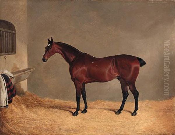 A Bay Horse In A Stable Oil Painting by John Frederick Herring Snr