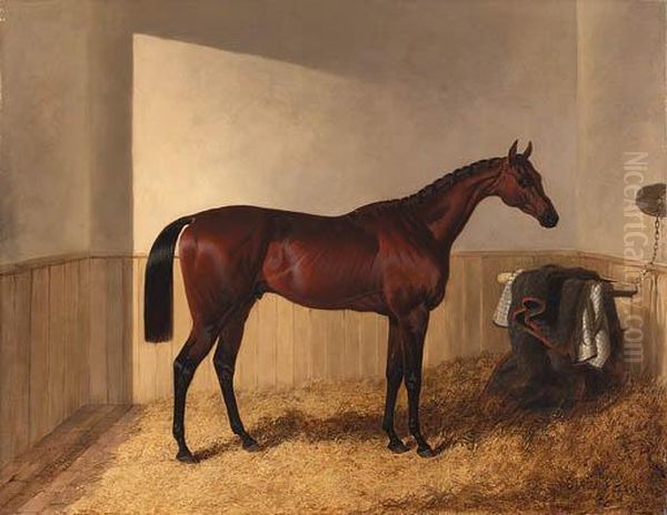 Merry Monarch In A Stable Oil Painting by John Frederick Herring Snr