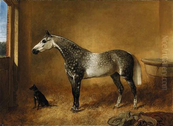 A Dappled Grey Mare And A Dog In A Stable Oil Painting by John Frederick Herring Snr