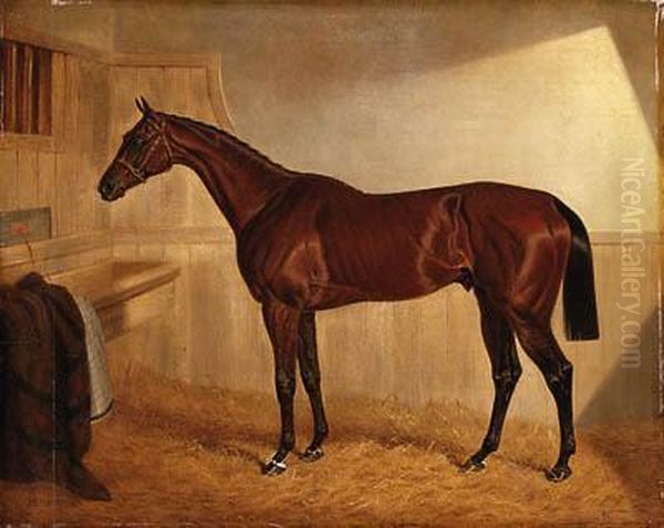 Lord Jersey's Bay Middleton In A Stable Oil Painting by John Frederick Herring Snr