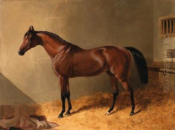 Pacolet, A Bay Stallion, In A Stable Oil Painting by John Frederick Herring Snr