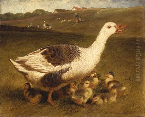 A Goose And Goslings Oil Painting by John Frederick Herring Snr