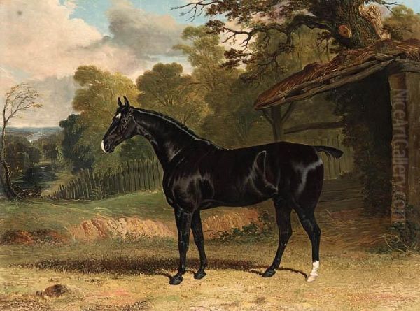 Black Tom, A Black Hunter, Beside A Stable, In A Wooded Riverlandscape Oil Painting by John Frederick Herring Snr