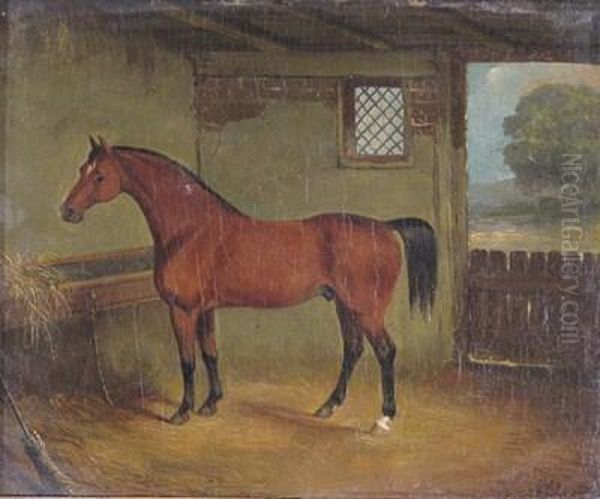 A Bay Horse In A Stable Oil Painting by John Frederick Herring Snr