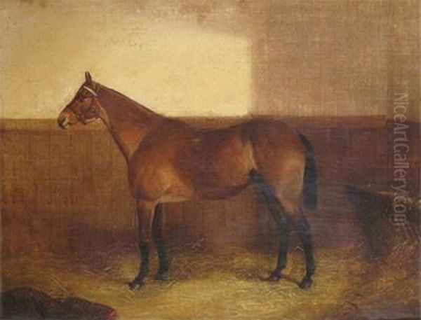 A Chestnut Hunter In A Stable Oil Painting by John Frederick Herring Snr