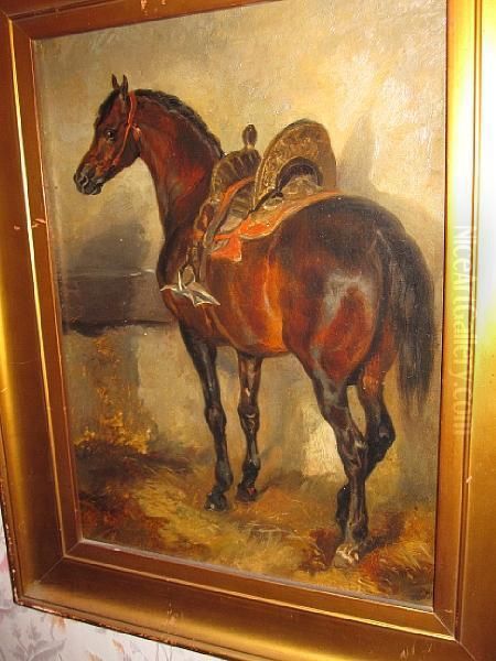 A Study Of A Horse With A Spainishsaddle Oil Painting by John Frederick Herring Snr