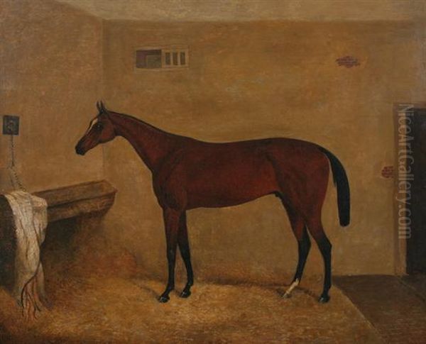 Bay Gelding In Stall Oil Painting by John Frederick Herring Snr