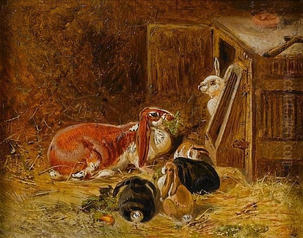 Study Of Rabbits Oil Painting by John Frederick Herring Snr