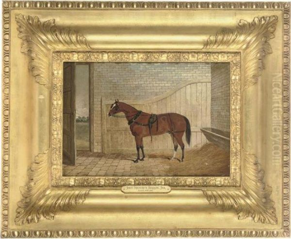 A Saddled Carriage Horse In A Stable Oil Painting by John Frederick Herring Snr