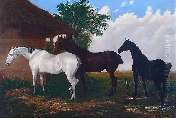 A Bay And Gray Mare With Black Foal, Beside A Thatched Farm Building Oil Painting by John Frederick Herring Snr