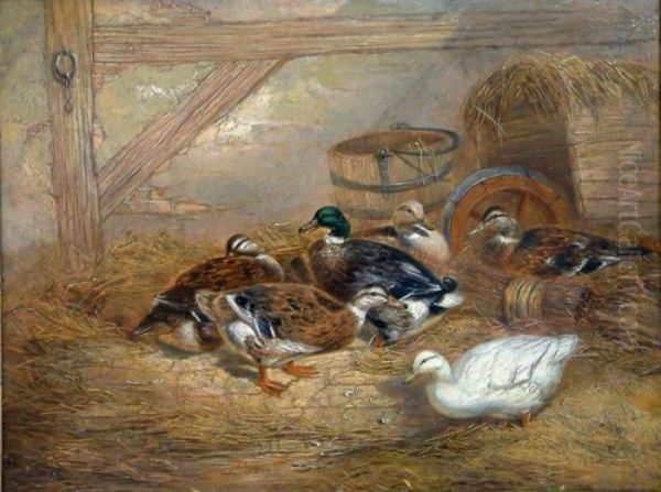 Ducks In A Barn Oil Painting by John Frederick Herring Snr