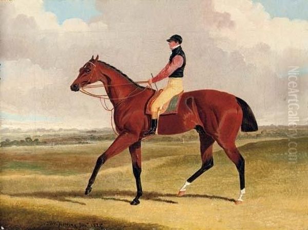 Theodore, Winner Of The 1822 St. Leger, With John Jackson Up, A Racecourse Beyond Oil Painting by John Frederick Herring Snr