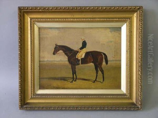 'tranby' ;racehorse With Jockey Up Signed And Dated 1835 9 X 12in Oil Painting by John Frederick Herring Snr