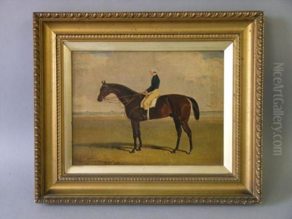 'tranby' ;racehorse With Jockey Up Oil Painting by John Frederick Herring Snr