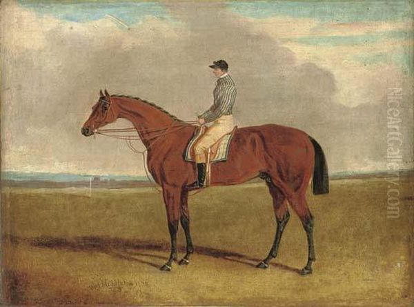 Bay Middleton With Jockey Up Oil Painting by John Frederick Herring Snr