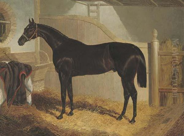 Faugh-a-ballagh, Winner Of The St. Leger Oil Painting by John Frederick Herring Snr