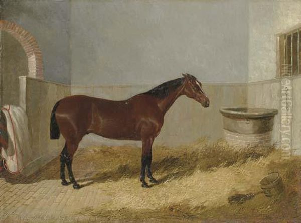 The Bay Hunter All My Eye In A Stall Oil Painting by John Frederick Herring Snr