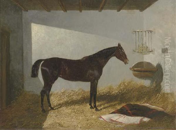 Calico, A Bay Hunter In A Stall Oil Painting by John Frederick Herring Snr