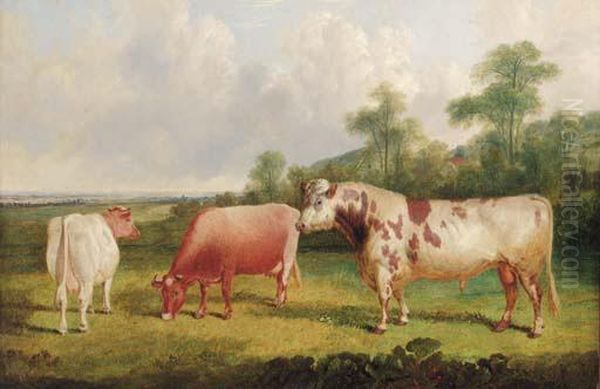 A Bull And Cows In A Wooded Landscape Oil Painting by John Frederick Herring Snr