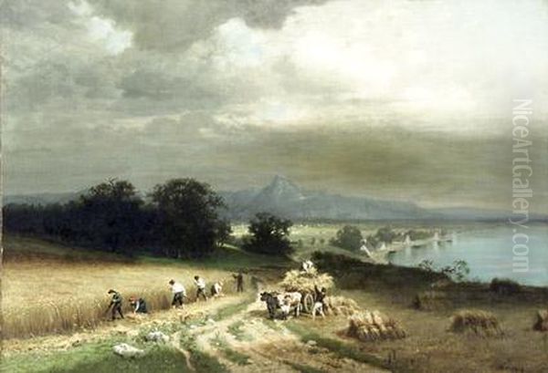 Wheat Harvesting Beside A River Oil Painting by Herman Herzog