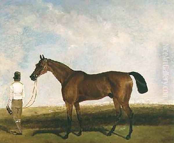 A groom leading a bay racehorse Oil Painting by Lambert Marshall