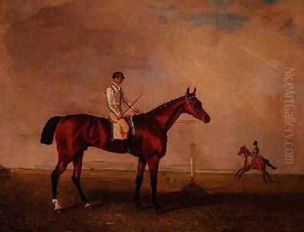 Bay racehorse with jockey on a racecourse Oil Painting by Lambert Marshall