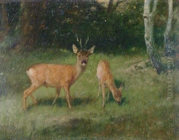 Deer In A Wood Oil Painting by Arthur Heyer