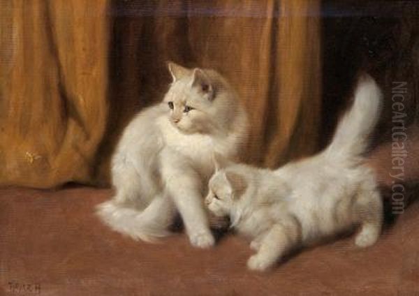 Two White Kittens And A Bee Oil Painting by Arthur Heyer