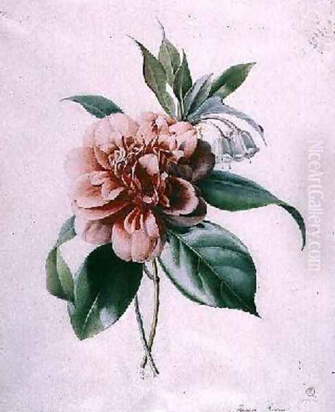 Camellia Oil Painting by Marie-Anne